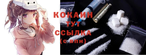 тгк Абаза
