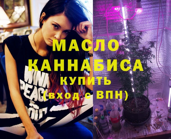 тгк Абаза