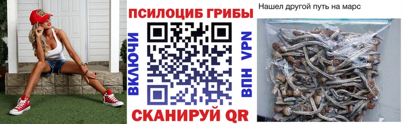 нарко площадка официальный сайт  Каменногорск  Галлюциногенные грибы Psilocybe 