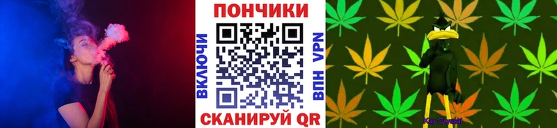 МАРИХУАНА план  цены наркотик  МЕГА tor  Каменногорск 